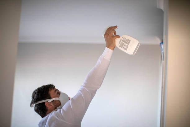 Best Commercial Mold Removal  in Rossville, MD