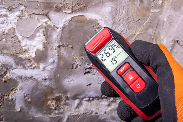 Best Mold Remediation Experts  in Rossville, MD
