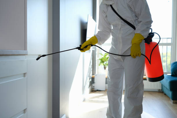 Best Toxic Mold Removal  in Rossville, MD
