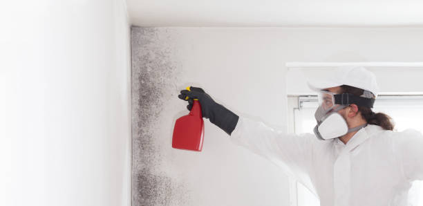 Best Crawl Space Mold Removal  in Rossville, MD