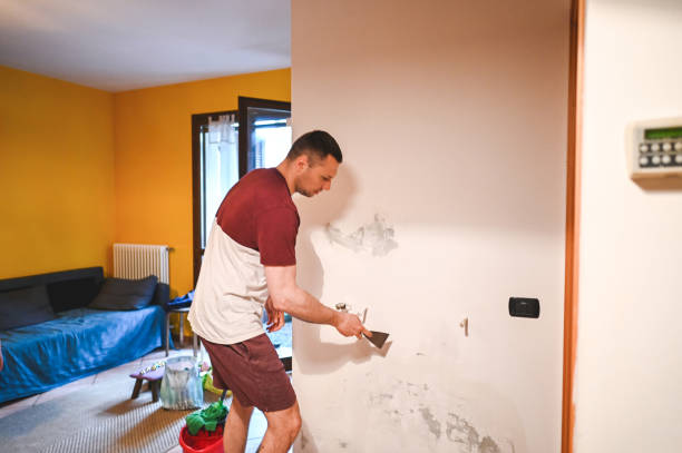Best Home Mold Removal  in Rossville, MD